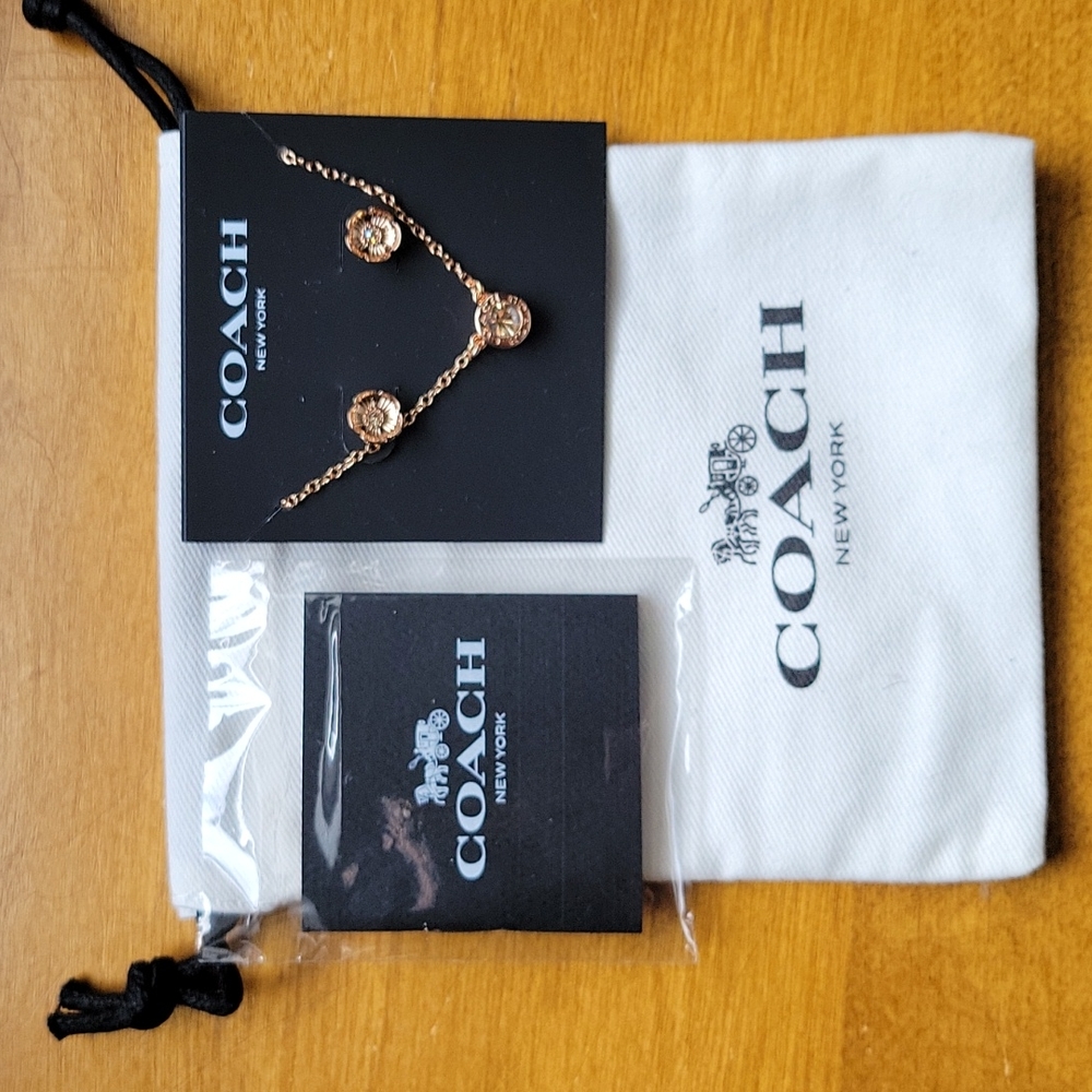 Coach necklace and earrings